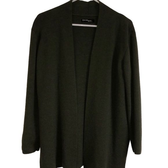 Crossing Pointe Sweaters Crossingpointewomens Sweater 0merino Wool